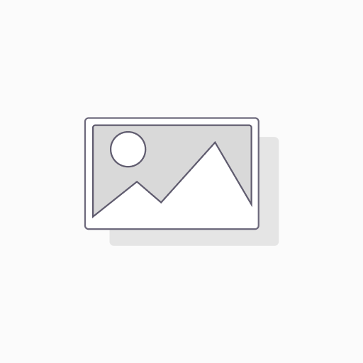 Domain Service 